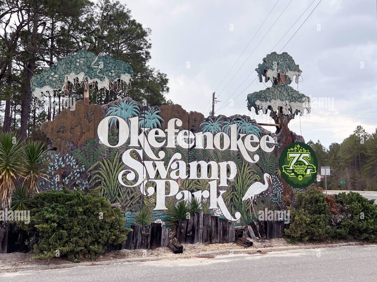 Okefenokee Swamp adventure
